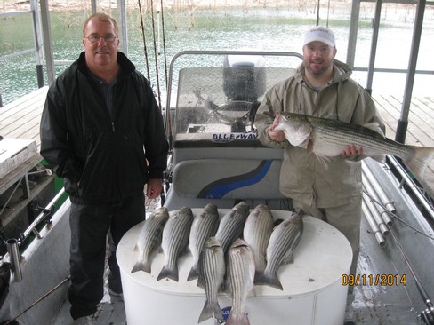 Nice Striped Bass